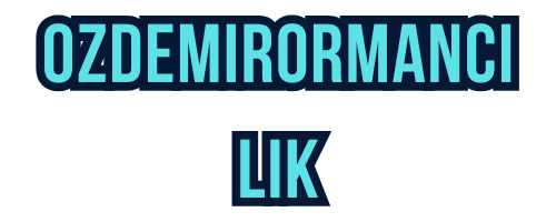 ozdemirormancilik.com